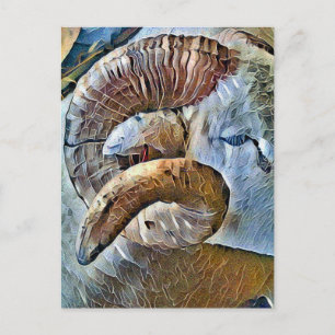 POSTAL ANIMAL GRANJA DE OVEJAS RAM