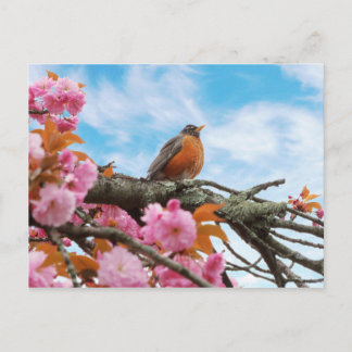 Postal Animal - Pájaro - Primer robo de primavera