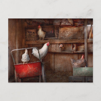 Postal Animal - Pollo - El pato es un espía