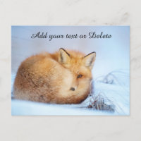 *~* Animal Red Fox Ap18 Wildlife Personalizar Arts