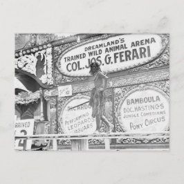 Postal animal salvaje de DreamLand