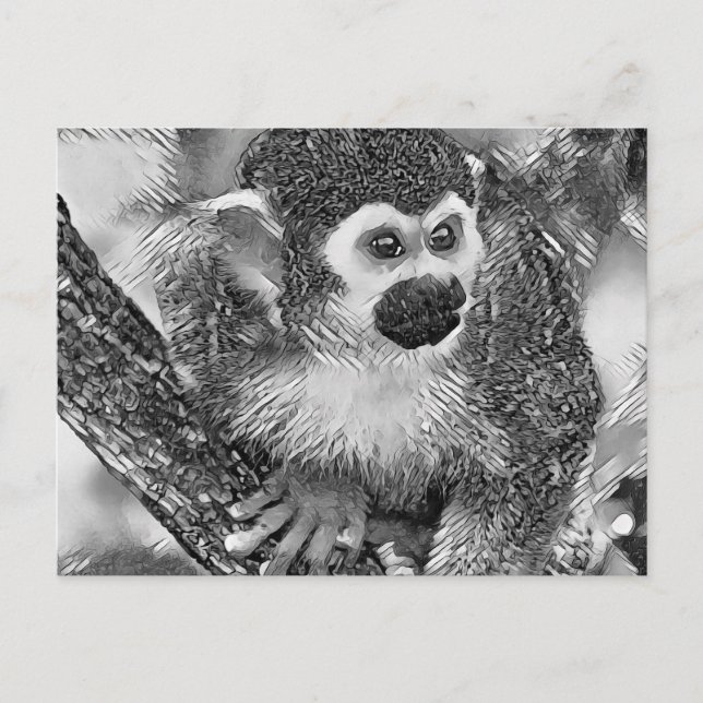 Postal AnimalArtBW_Monkey_002 (Anverso)