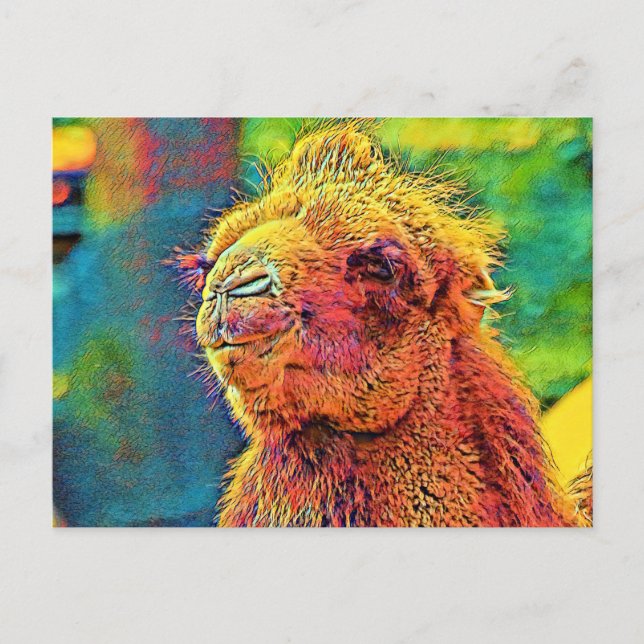 Postal AnimalColor_Camel_07 (Anverso)