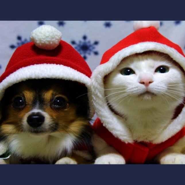 Postal Animales Adorables (Subido por el creador)