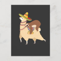 Animales amantes del taco Lazy Sloth en Llama