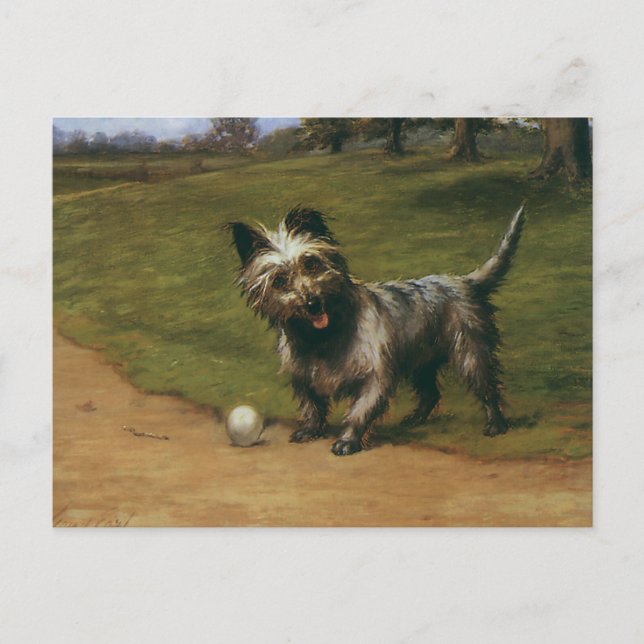 Postal Animales antiguos perros, cachorro lindo de terrie (Anverso)