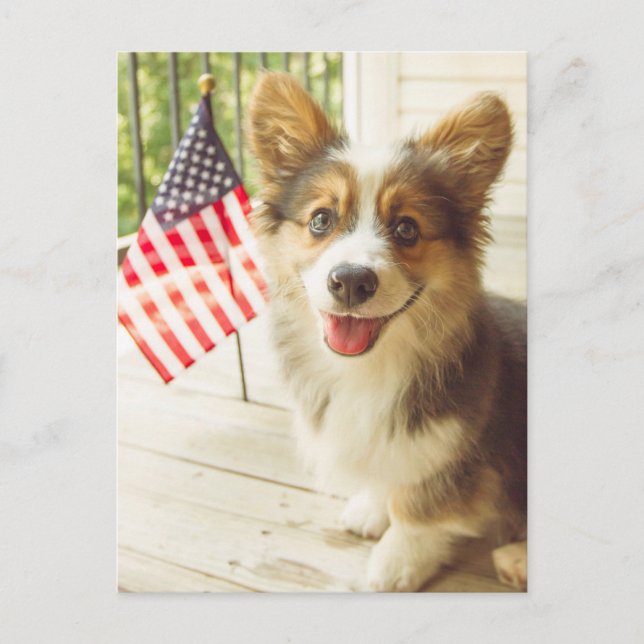 Postal Animales Bebés Más Lindos | Corgi Bandera American (Anverso)