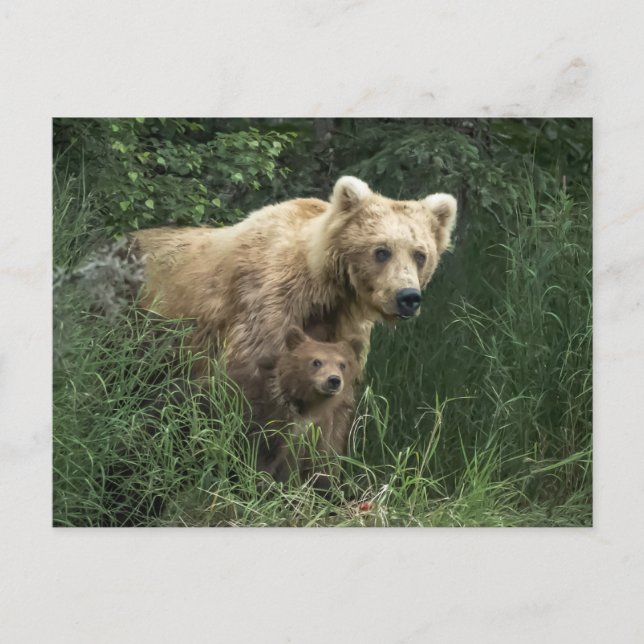 Postal Animales Bebés Más Lindos | Osa Mamá Oso y sus Cac (Anverso)