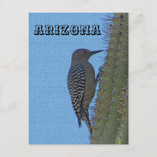 Postal Animales de Arizona Gila Woodpecker en Tall Cactus
