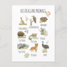 Animales de Australia