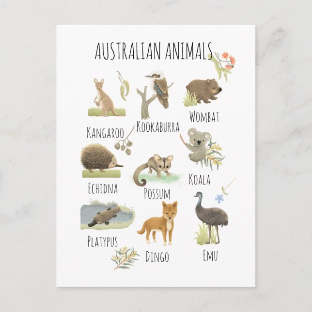 Postal Animales de Australia (Anverso)