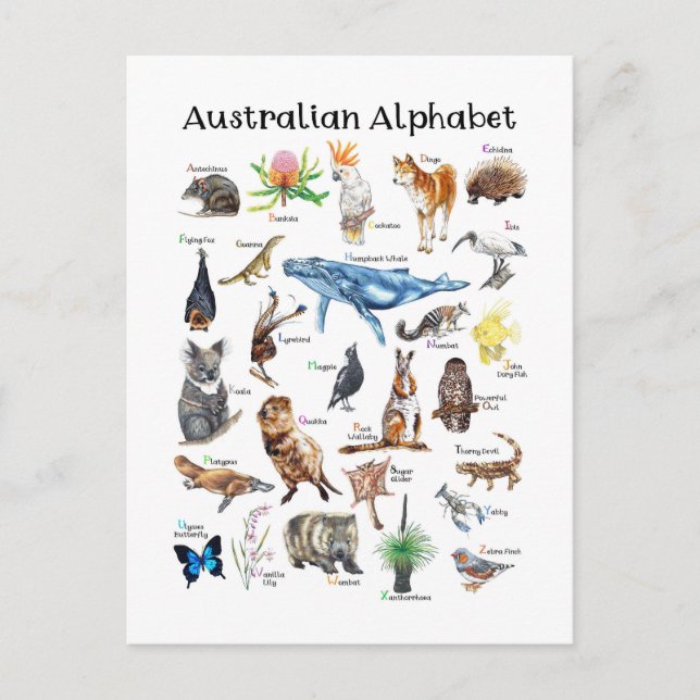 Postal Animales de Australia (Anverso)