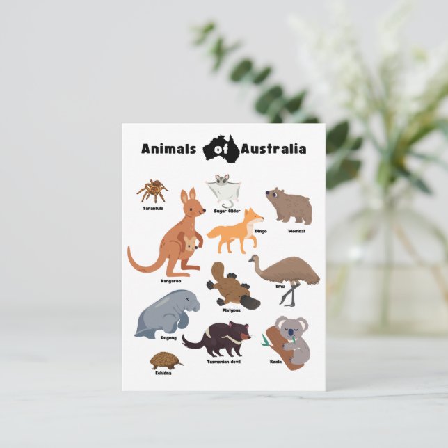 Postal Animales de Australia Aussie Wildlife (Anverso de pie)
