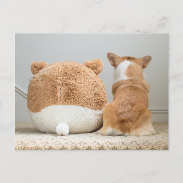 Postal Animales de bebé más afectados | Corgi & Plush Pup (Anverso)