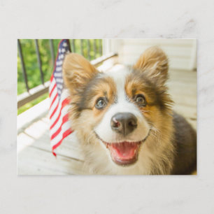 Postal Animales de bebé más afectados   Corgi Puppy Patri