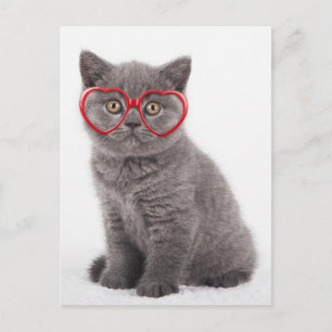 Postal Animales de bebé más afectados   Gafas de corazón 