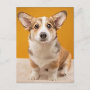 Postal Animales de bebé más afectados Retrato de Corgi
