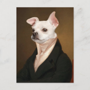 Postal Animales de bebé más afectados   Retrato real de C