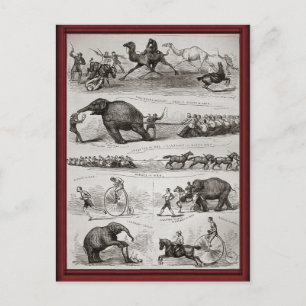 Postal Animales de circo de época y faros de penique