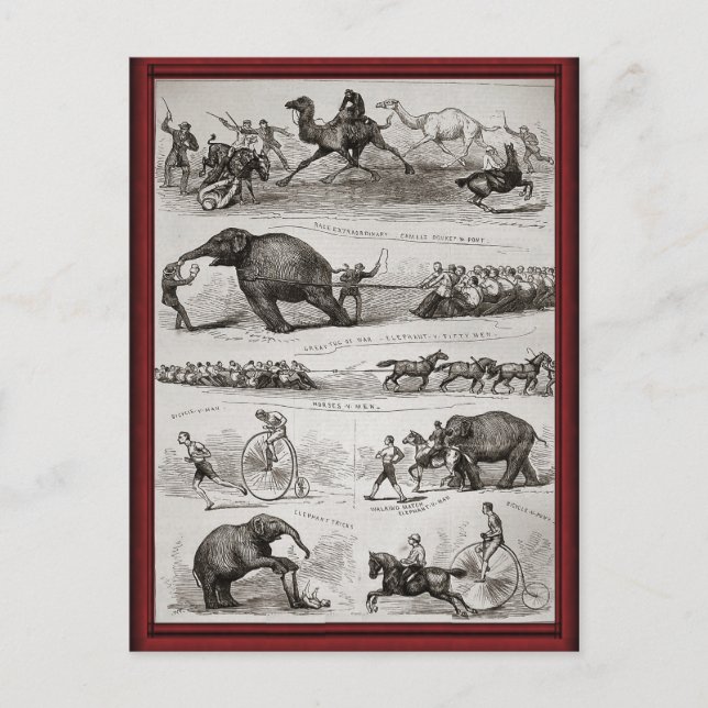 Postal Animales de circo de época y faros de penique (Anverso)