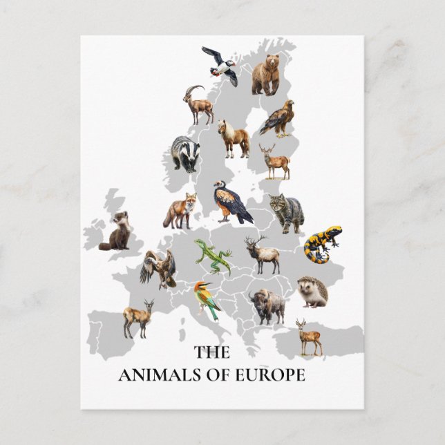Postal Animales de Europa (Anverso)