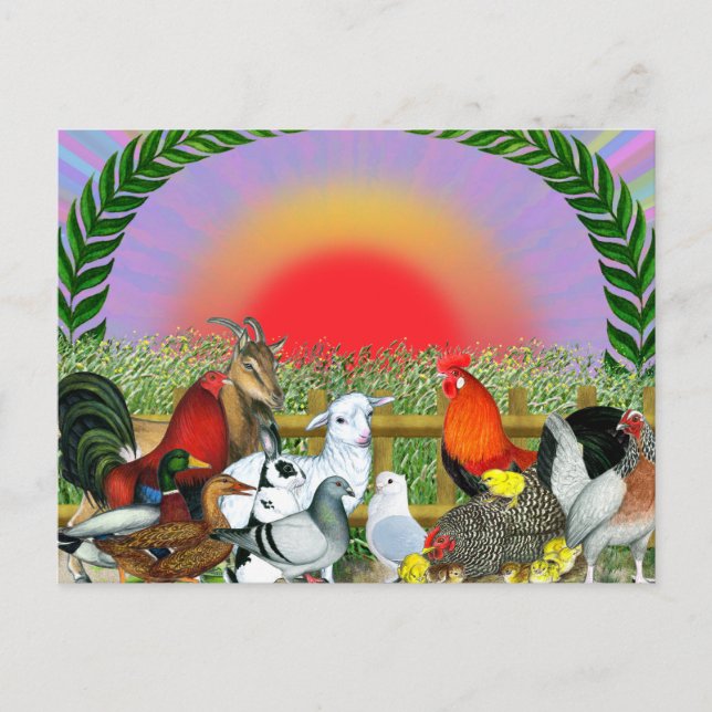 Postal Animales de granja (Anverso)