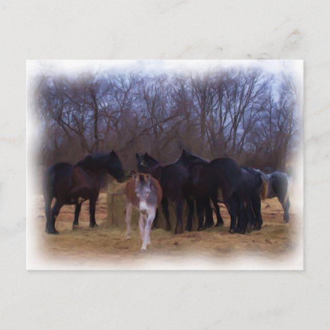 Postal animales de granja (Anverso)