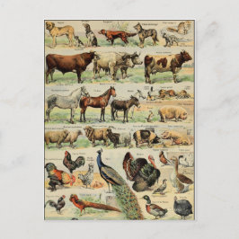 Postal Animales de granja de estilo vintage