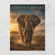 Animales de la sabana del elefante africano