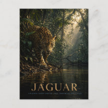 Animales de la selva amazónica Jaguar