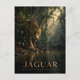 Postal Animales de la selva amazónica Jaguar