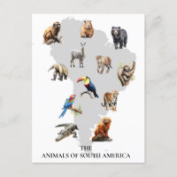 Animales de la vida silvestre de Sudamérica