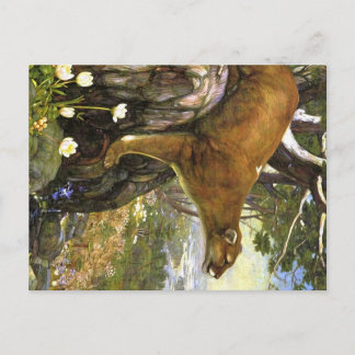 Postal Animales de los Apalaches
