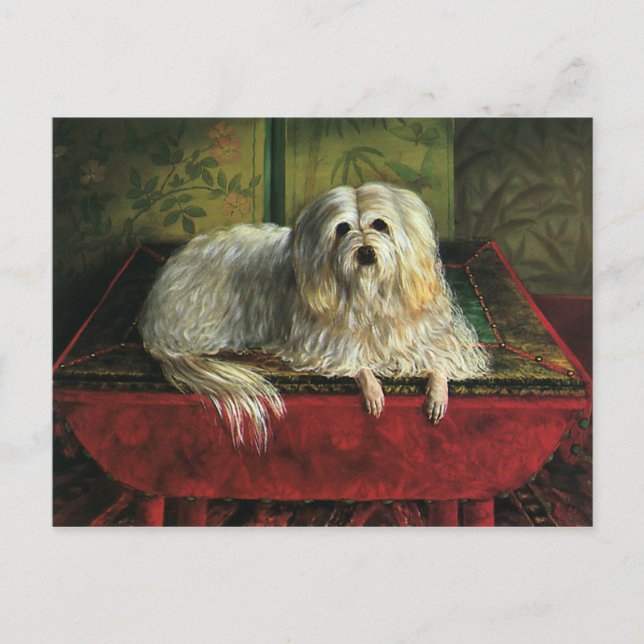 Postal Animales de Mascota de cosecha, perro de perro pas (Anverso)