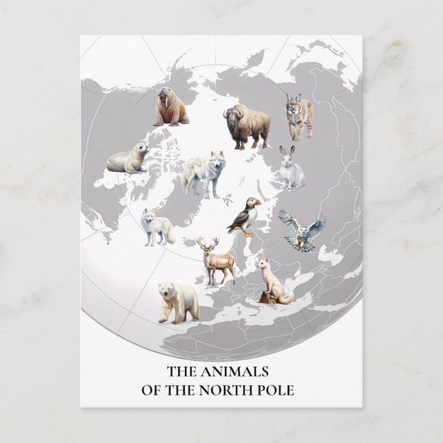 Postal Animales del Ártico del Polo Norte (Anverso)