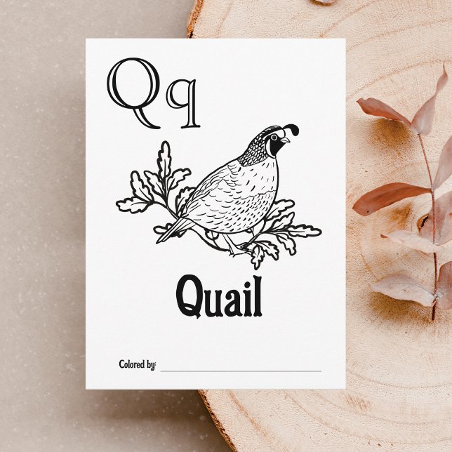 Postal Animales del Bosque ABC Actividad de Colorear para (Letter Q - Color Your Own Baby's First ABC's Keepsake Cards)