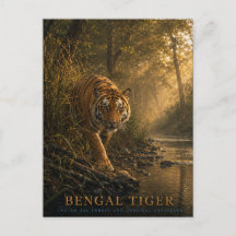 Animales del bosque de sal del tigre de Bengala