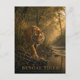Postal Animales del bosque de sal del tigre de Bengala