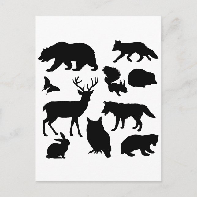 Postal Animales Del Bosque, Vida Silvestre (Anverso)