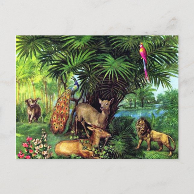 Postal Animales del vintage (Anverso)