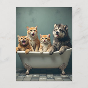 Postal Animales divertidos en bañera