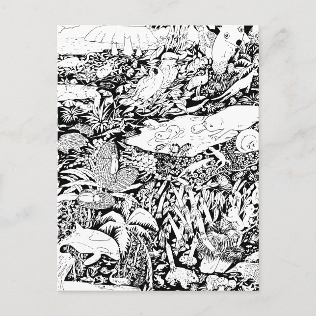 Postal Animales en paz (Anverso)