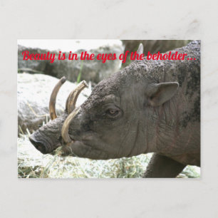 Postal Animales feos, Babirusa