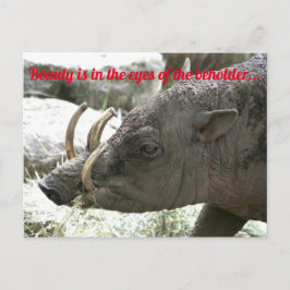 Postal Animales feos, Babirusa