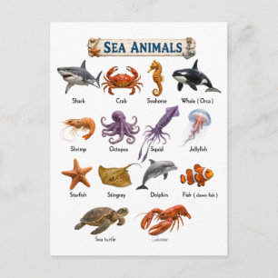 Postal Animales Marinos