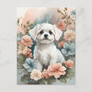 Postal Animales para bebés   Cachorro maltés blanco
