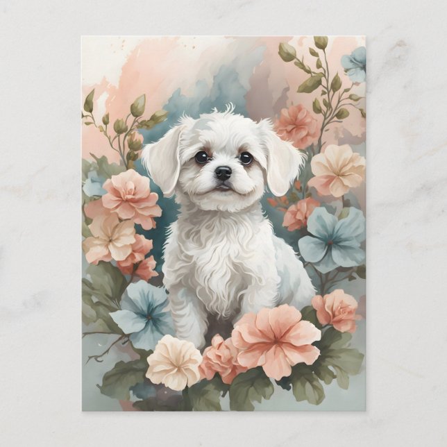 Postal Animales para bebés | Cachorro maltés blanco (Anverso)