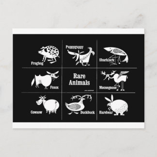 Postal Animales raras