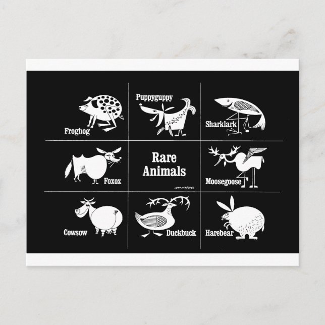 Postal Animales raras (Anverso)