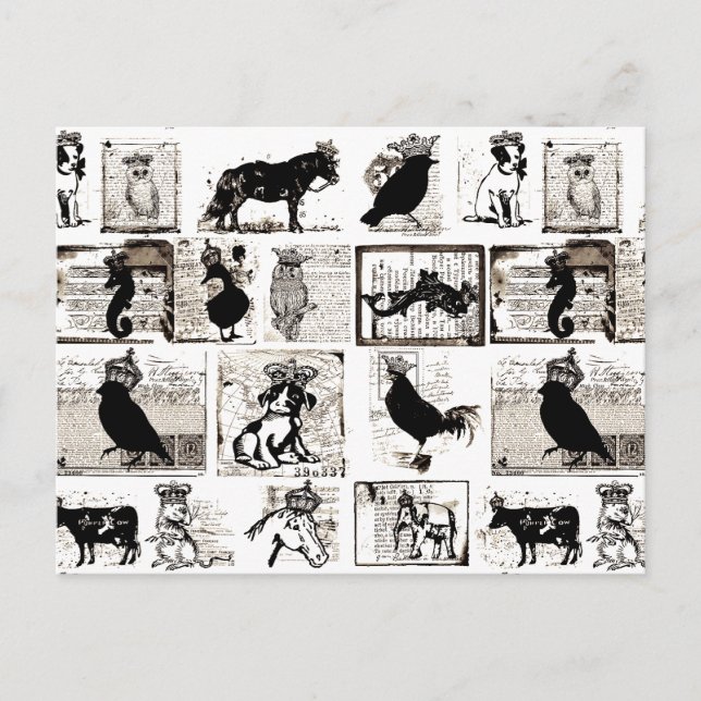 Postal Animales Reales Blancos Y Negros Vintage (Anverso)